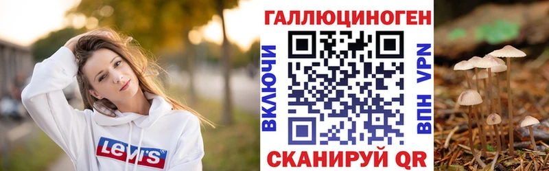 мега как зайти  Железноводск  Галлюциногенные грибы GOLDEN TEACHER 