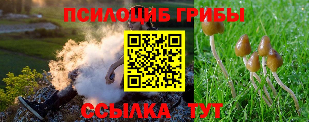 Галлюциногенные грибы Cubensis Железноводск