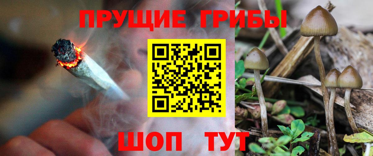 Псилоцибиновые грибы GOLDEN TEACHER  Вход с VPN  Железноводск 