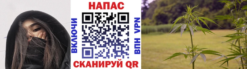цены   Железноводск  Канабис White Widow 